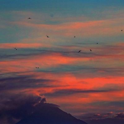 我的世界1.15版本下载手机版